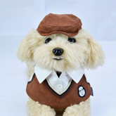 Momoji Leighton Hats - หมวกสุนัข แมว